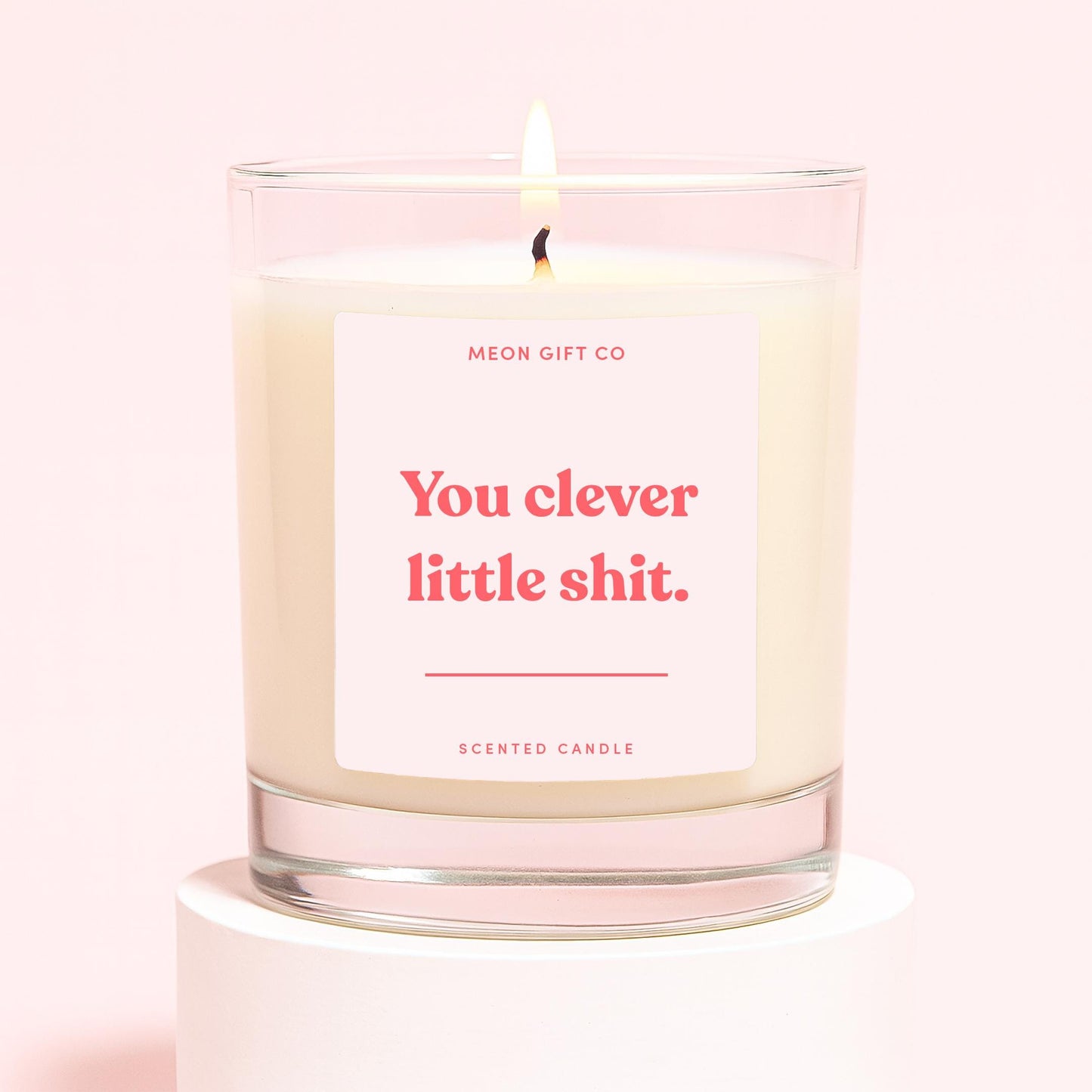 You Clever Little Shit Candle